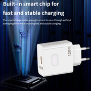 PowerNova 120W Charger