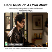 HiTune T3 Pro Earbuds